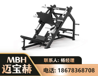 齐齐哈尔45°倒蹬训练器