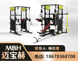 齐齐哈尔多功能综合训练器
