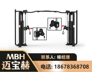 齐齐哈尔大飞鸟训练器