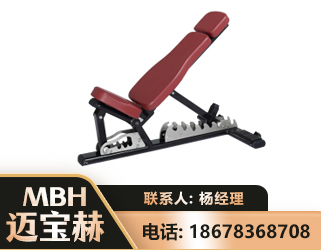 齐齐哈尔可调哑铃椅