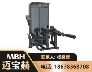 齐齐哈尔卧式屈腿训练器