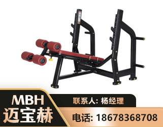 齐齐哈尔豪华下斜卧推架