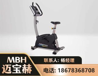 齐齐哈尔立式健身车